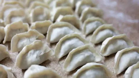 Freshly folded raw dumplings