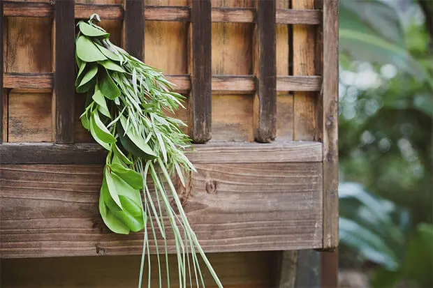 Hanging Moxa & Calamus