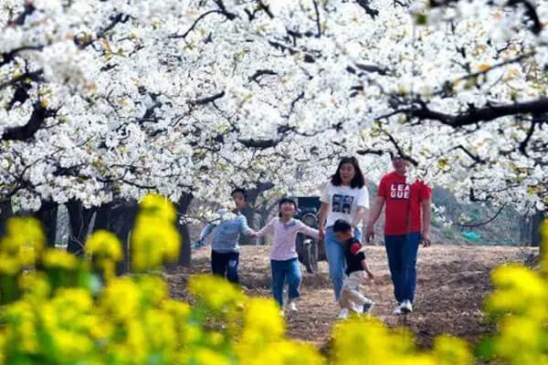 Spring Outings (Taqing)