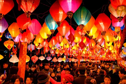 [ Glowing Lantern Displays ]